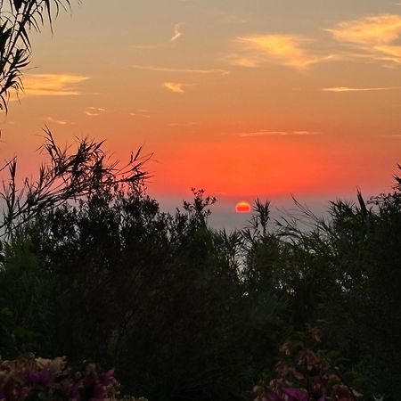 Villa Moma Giardino, Tennis E Piscina Panoramica อีสเกีย ภายนอก รูปภาพ