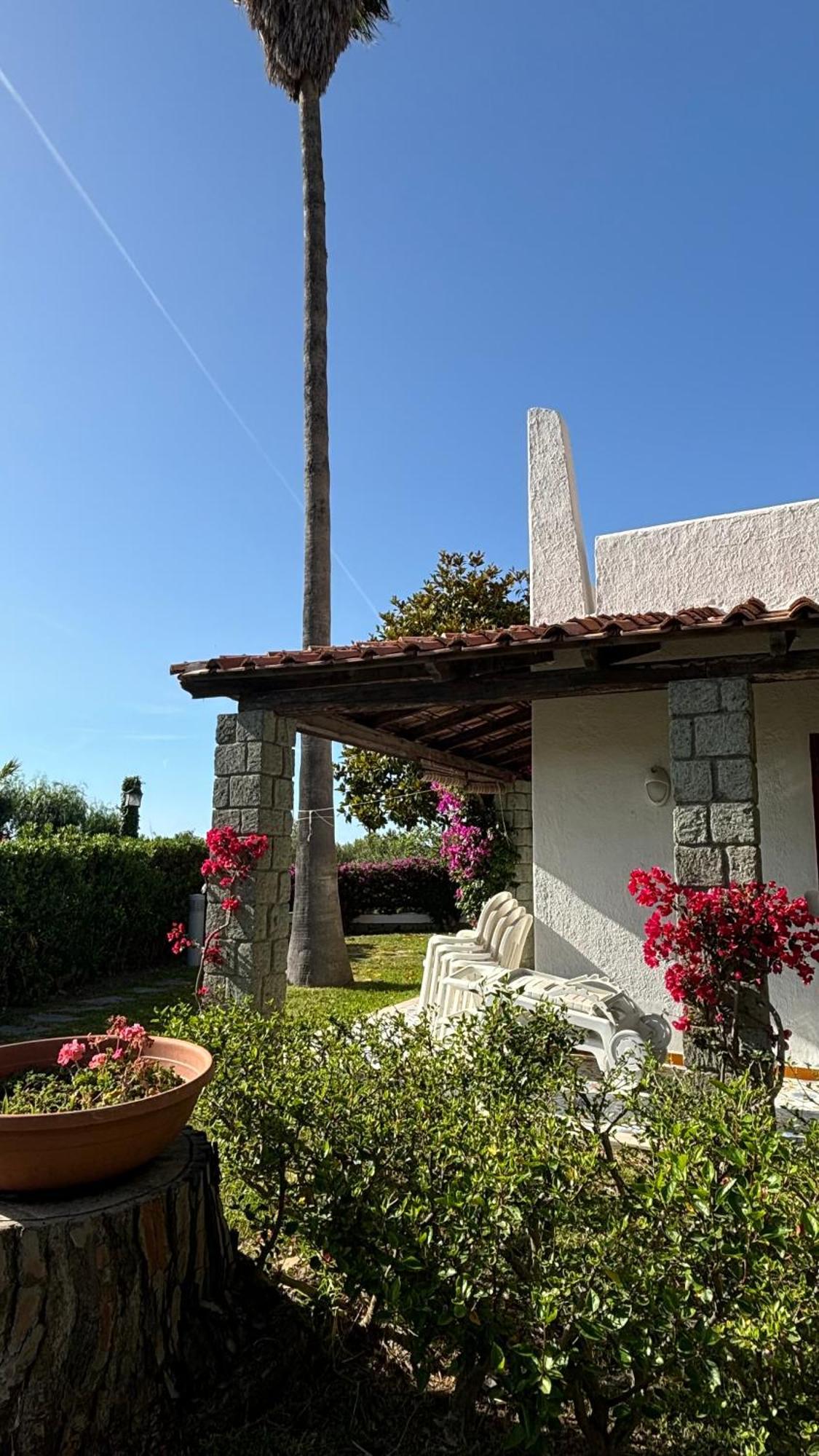 Villa Moma Giardino, Tennis E Piscina Panoramica อีสเกีย ภายนอก รูปภาพ