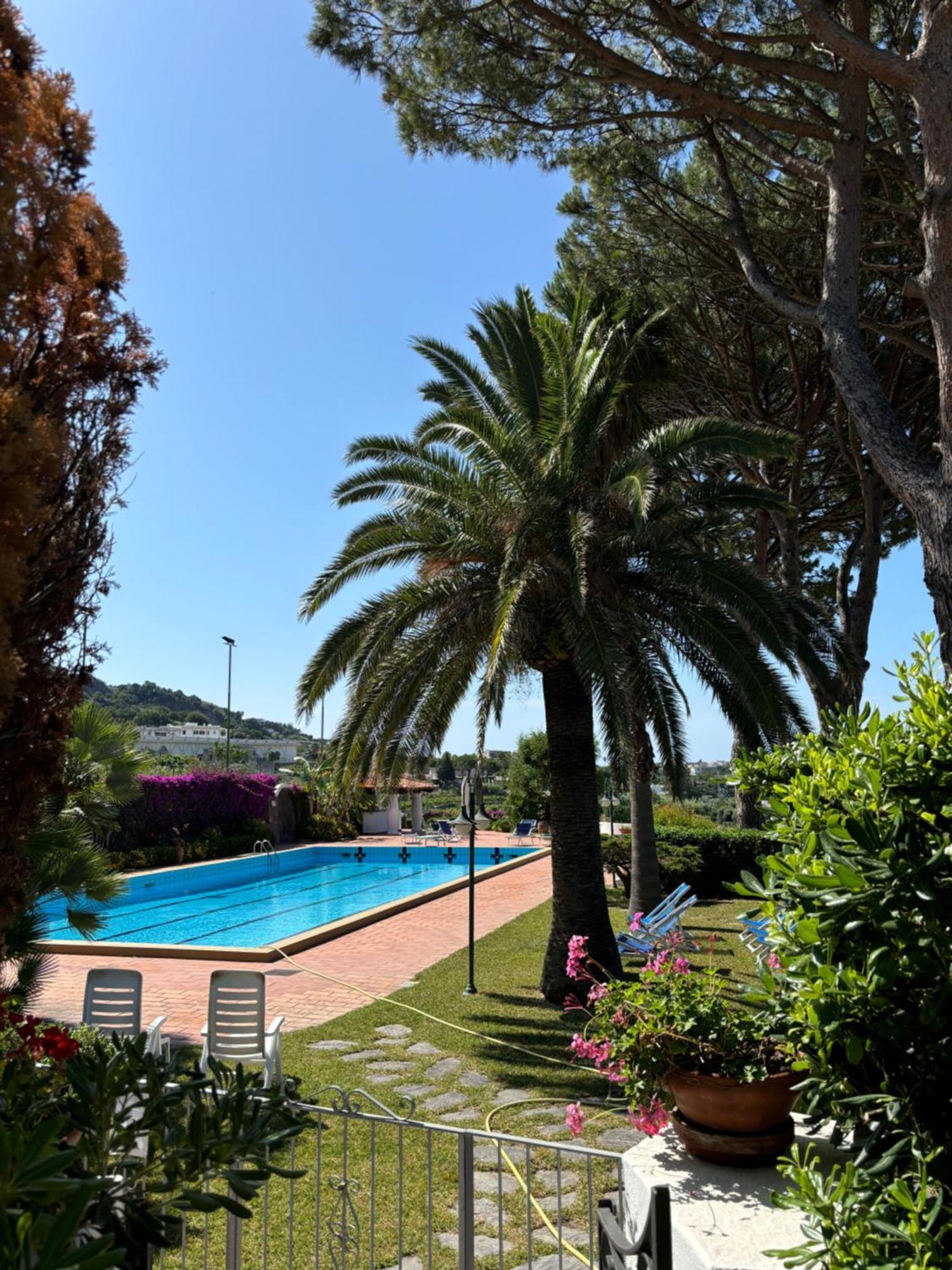 Villa Moma Giardino, Tennis E Piscina Panoramica อีสเกีย ภายนอก รูปภาพ
