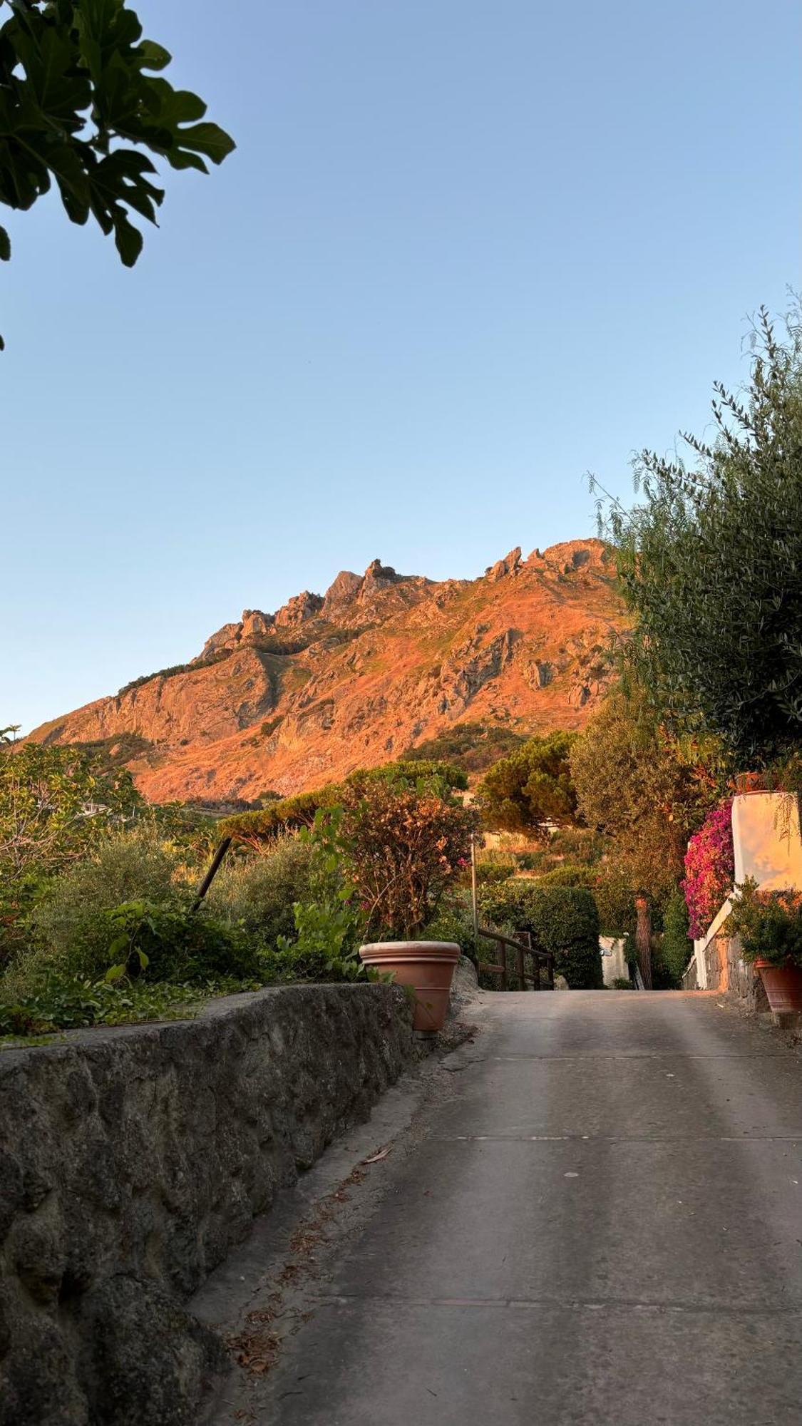 Villa Moma Giardino, Tennis E Piscina Panoramica อีสเกีย ภายนอก รูปภาพ