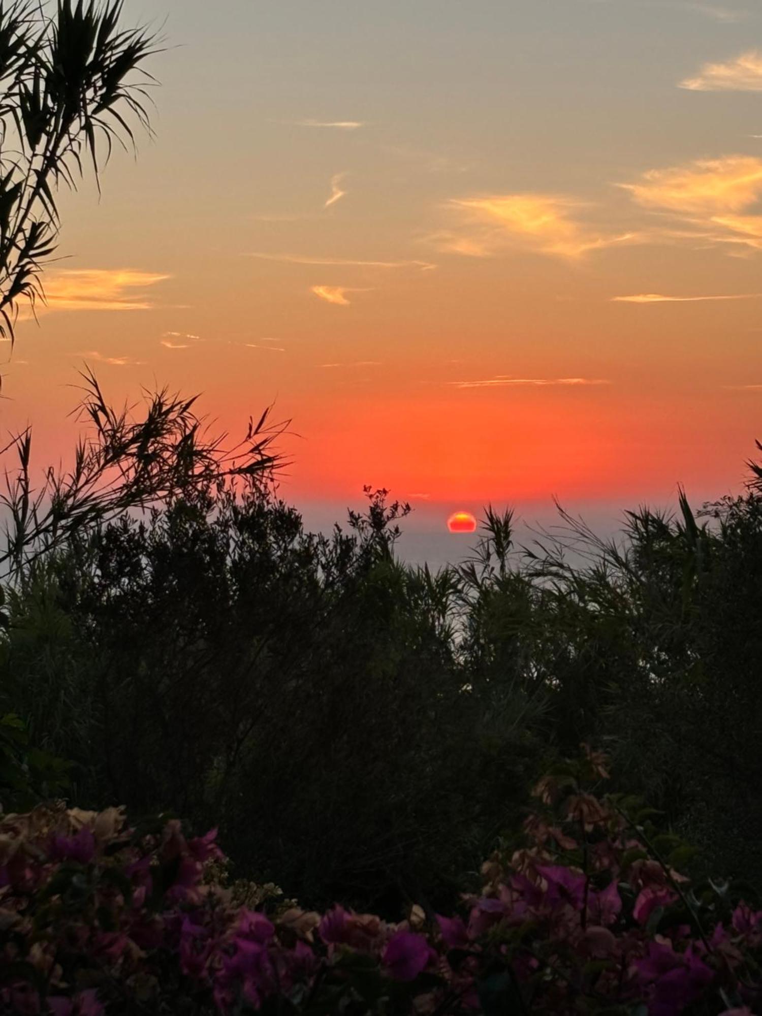 Villa Moma Giardino, Tennis E Piscina Panoramica อีสเกีย ภายนอก รูปภาพ