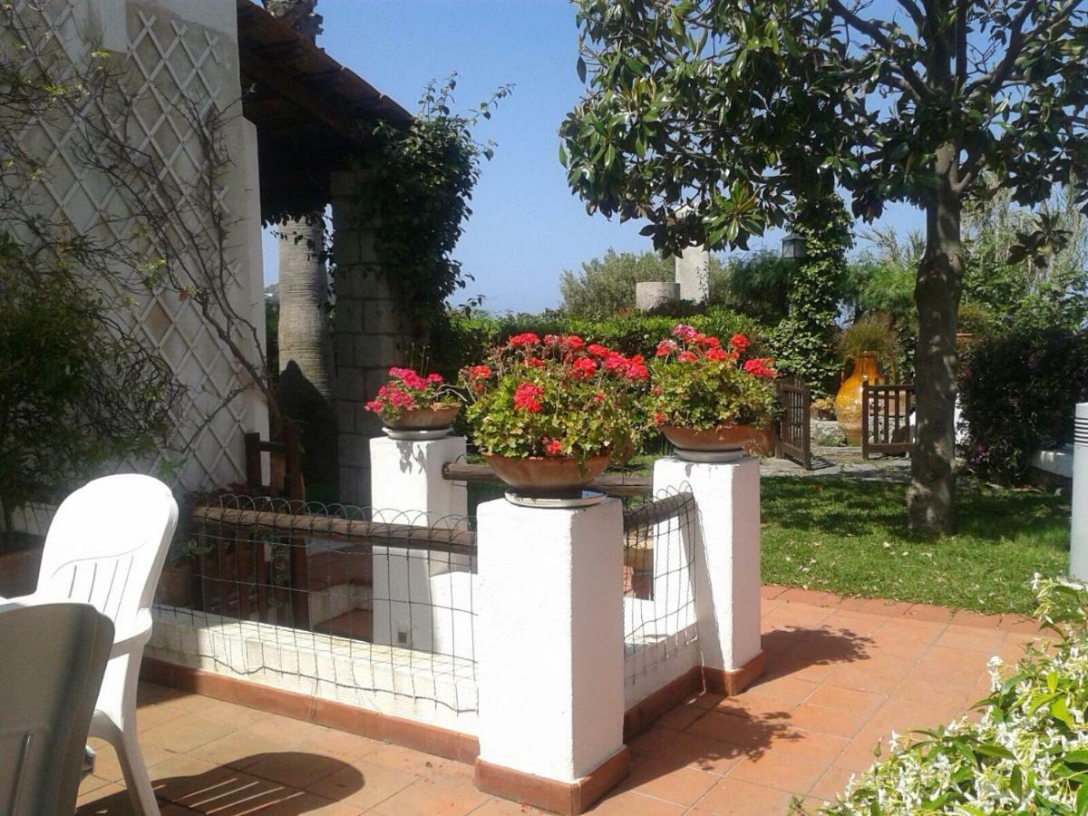 Villa Moma Giardino, Tennis E Piscina Panoramica อีสเกีย ภายนอก รูปภาพ